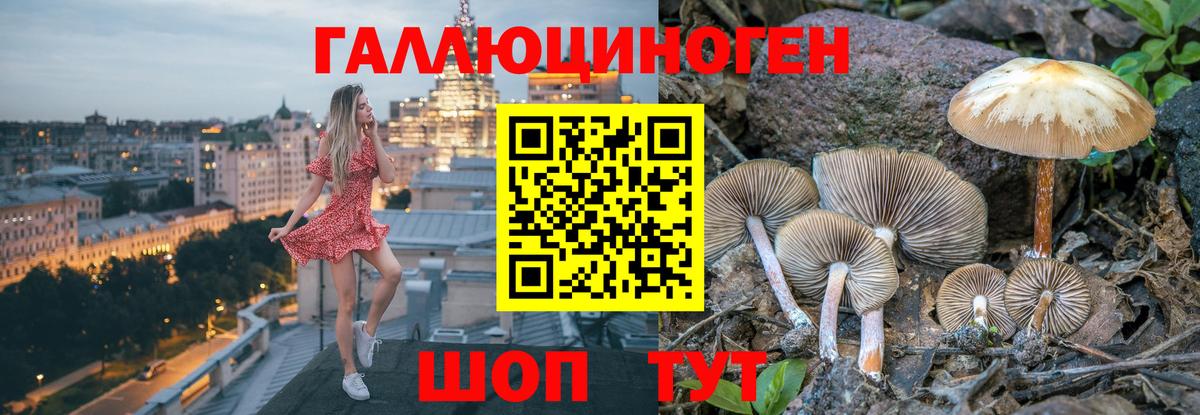 Псилоцибиновые грибы мухоморы Чебаркуль